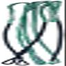 AMEYXGS Bowstrings Archery Fast Flight Bowstring 60" 62" 66" 68" 70" Dacron Bow String Replacement 16 Strands for Recurve Bow Longbow (Type 1 62 inch / 149 cm)