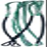 AMEYXGS Bowstrings Archery Fast Flight Bowstring 60" 62" 66" 68" 70" Dacron Bow String Replacement 16 Strands for Recurve Bow Longbow (Type 1 66 inch / 159 cm)