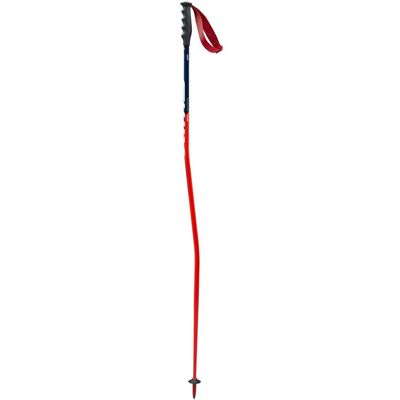 Swix Winter Sports Recreation Competition Alpine Skiing Racing Freeriding WC Pro Super-G Aluminum Poles (110 cm)