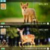 Agitato Professional Game & Trail Camera, 64MP 1296P MP4 Video Deer Cam 0.1S Trigger 100ft Night Vision Motion Activated Waterproof IP66 for Outdoor Wildlife Hunting & Home Farmlalnd Surveillance view 4