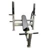 Fitness First Adjustable Incline Bench with Olympic Weight Plate Storage view 1