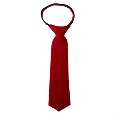 Spring Notion Boys' Linen Blend Zipper Necktie Burgundy Medium