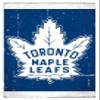 Trends International NHL Toronto Maple Leafs - Retro Logo 16 Wall Poster, 14.725" x 22.375", White Framed Version view 1