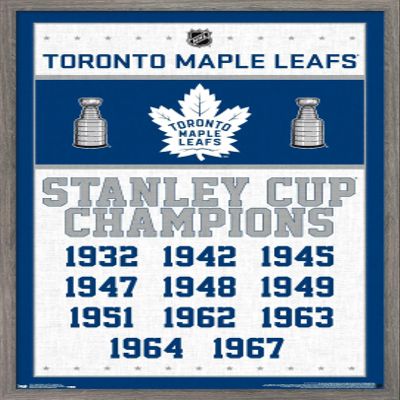 Trends International NHL Toronto Maple Leafs - Champions 16 Wall Poster, 22.375" x 34", Barnwood Framed Version