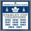 Trends International NHL Toronto Maple Leafs - Champions 16 Wall Poster, 22.375" x 34", Barnwood Framed Version view 1