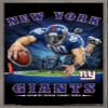 Trends International NFL New York Giants - End Zone 17 Wall Poster, 14.725" x 22.375", Barnwood Framed Version view 1