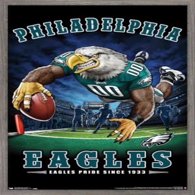 Trends International NFL Philadelphia Eagles - End Zone 17 Wall Poster, 22.375" x 34", Barnwood Framed Version