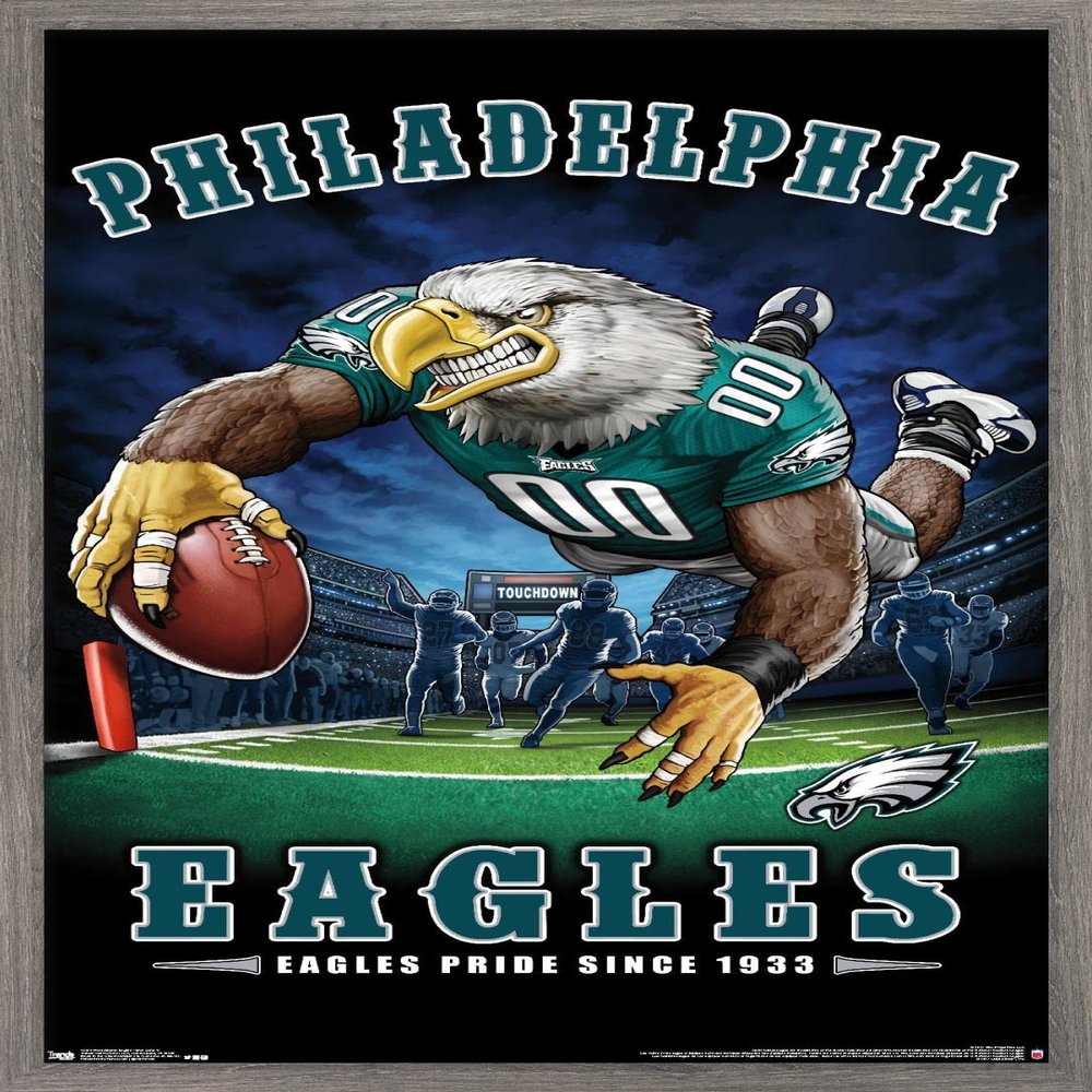 Trends International NFL Philadelphia Eagles - End Zone 17 Wall Poster, 22.375" x 34", Barnwood Framed Version