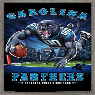 Trends International NFL Carolina Panthers - End Zone 17 Wall Poster, 22.375" x 34", Barnwood Framed Version