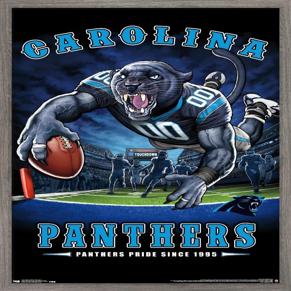 Trends International NFL Carolina Panthers - End Zone 17 Wall Poster, 22.375" x 34", Barnwood Framed Version