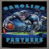 Trends International NFL Carolina Panthers - End Zone 17 Wall Poster, 22.375" x 34", Barnwood Framed Version view 1
