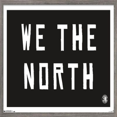 Trends International NBA Toronto Raptors - We The North 16 Wall Poster, 22.375" x 34", Barnwood Framed Version