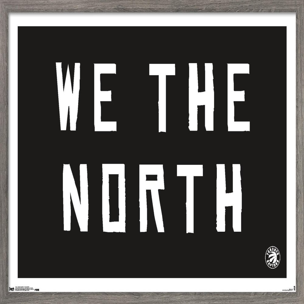 Trends International NBA Toronto Raptors - We The North 16 Wall Poster, 22.375" x 34", Barnwood Framed Version