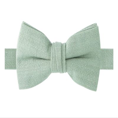 Spring Notion Boys' Linen Blend Bow Tie, Sage Small