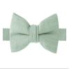 Spring Notion Boys' Linen Blend Bow Tie, Sage Small view 1