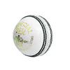 CW Special Test White New Leather Cricket Ball 4 Piece Hard Standard Weight & Size for Men view 2