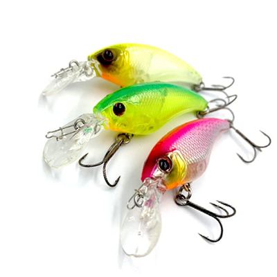 ISM SR #09 Skeleton Lime Chart Lure Closer