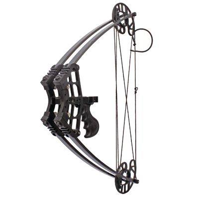 Archery Compound Bow Hunting Triangle Bow 50lbs Short Axis Right Left Hand for Outdoor Hunting Competition Composite Bow (Black)