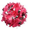 ICObuty Plastic Cheerleader Cheerleading Pom Poms 6 inch 1 Pair 2 Pieces (Silver/Wet Hot Pink) view 1