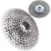 Alomejor 9/10/11/12 Speed Cassette Mountain Cycling Freewheel Sprocket Gear (11S 11 42T) view 4