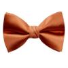 Spring Notion Men's Solid Color Satin Microfiber Bow Tie Rust view 2
