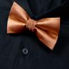 Spring Notion Men's Solid Color Satin Microfiber Bow Tie Rust view 3