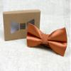 Spring Notion Men's Solid Color Satin Microfiber Bow Tie Rust view 4