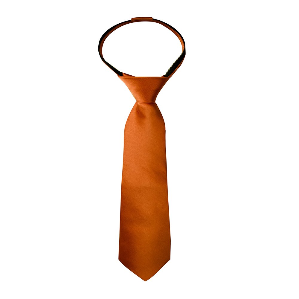 Spring Notion Boys' Solid Color Microfiber Zipper Tie Small Rust
