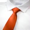 Spring Notion Boys' Solid Color Microfiber Zipper Tie Small Rust view 2