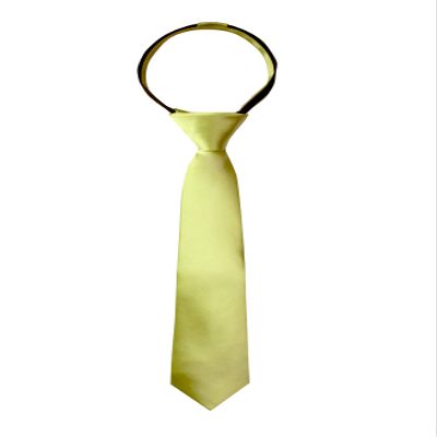 Spring Notion Boys' Solid Color Microfiber Zipper Tie Medium Green Tea