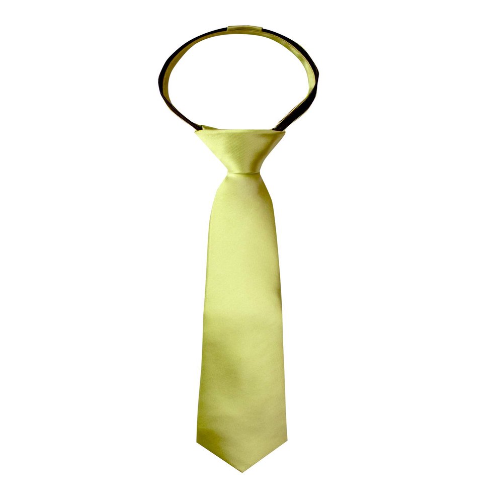 Spring Notion Boys' Solid Color Microfiber Zipper Tie Medium Green Tea
