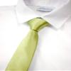 Spring Notion Boys' Solid Color Microfiber Zipper Tie Medium Green Tea view 2
