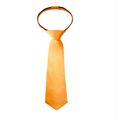 Spring Notion Boys' Solid Color Microfiber Zipper Tie Small Mustard