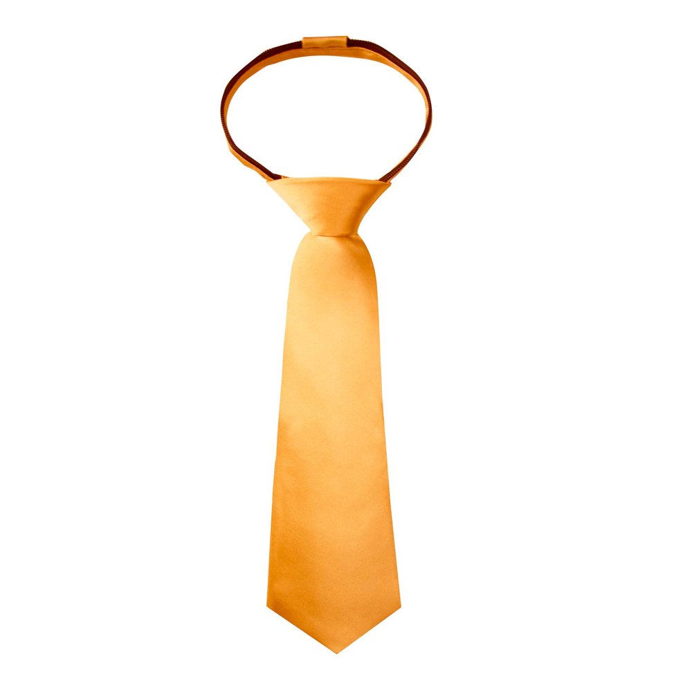 Spring Notion Boys' Solid Color Microfiber Zipper Tie Small Mustard