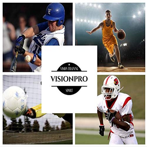 Vision Pro Training Program