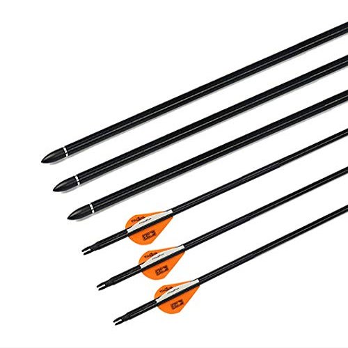 Obert 12Pcs Carbon Arrows 32Inch Spine 300 Archery Recurve Bow Compound Bow Hunting Target Practice Orange