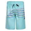 Hurley Boys' Pull On Swim Trunks, Aurora Green, 2T view 1