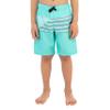 Hurley Boys' Pull On Swim Trunks, Aurora Green, 2T view 3