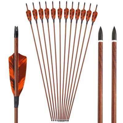Obert 12pcs Archery Carbon Arrows 31 inch Spine 400 with 4" Feathers Fletching & 100 Grain Removable Tips for Compound & Recurve Bow
