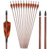 Obert 12pcs Archery Carbon Arrows 31 inch Spine 400 with 4" Feathers Fletching & 100 Grain Removable Tips for Compound & Recurve Bow view 1