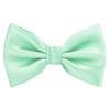 TIE G 5pcs Tie Set in Premium Gift Box : Solid Color Necktie, Satin Bow Tie, Pocket Square, Tie Bar, Cuff Links (D-BB Mint) view 4