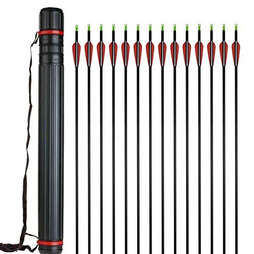 Obert 24pcs 31Inch Archery Carbon Arrow Spine 500 with Black Quivers for Hunting Shooting Target Practice