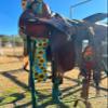 cinch strap set latigo sunflower 2" view 4