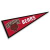 Brown Bears Pennant view 1