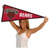 Brown Bears Pennant view 4