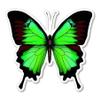 888 Graphics Butterfly Green Morpho Beautiful Golf Hat Clip with Magnetic Ball Marker view 4
