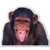 888 Graphics Chimp Funny Monkey Golf Hat Clip with Magnetic Ball Marker view 4