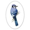 888 Graphics Blue Jay Golf Hat Clip with Magnetic Ball Marker view 4