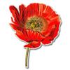 888 Graphics Poppy Beautiful Vintage Style Golf Hat Clip with Magnetic Ball Marker view 4