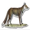 888 Graphics Fox Vintage Illustration Golf Hat Clip with Magnetic Ball Marker view 4